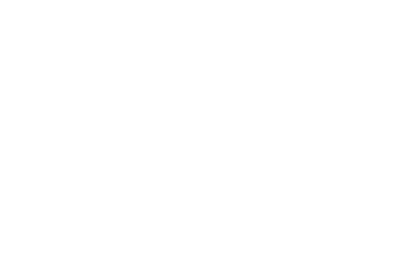 iata_logo